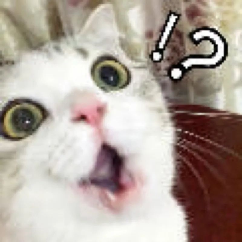 DƬ